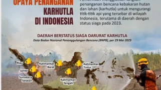 Penyebab Kebakaran Hutan Parah di Kalimantan Menurut Peneliti dan Kondisi Terbaru Karhutla 2026
