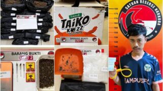 Polisi Amankan 2,3 Kg Ganja dari Rumah Kost di Pagaralam, Pelaku Ditangkap