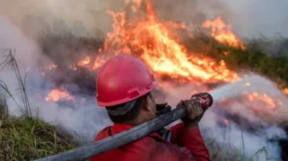Polri Tetapkan 72 Tersangka dalam Kasus Pembakaran Hutan di Kalimantan
