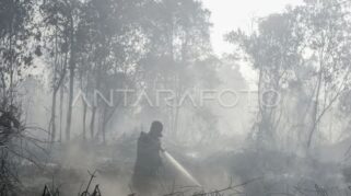 Sebaran 2.945 Titik Panas di Sumatera Picu Kualitas Udara Sangat Tidak Sehat