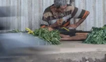 Soal Kakek Madhalim, Akademisi Negara Harus Hadir di Tengah Warga Miskin
