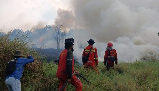 Sumatera Selatan Siagakan 6 Helikopter Water Bombing untuk Atasi Kebakaran Hutan dan Lahan