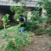 Tetangga yang Rampok Lansia di Cakung Ditangkap saat Tidur di Rumah