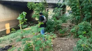 Tetangga yang Rampok Lansia di Cakung Ditangkap saat Tidur di Rumah