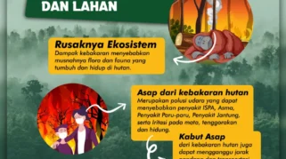Upaya Pencegahan dan Dampak Kebakaran Hutan dan Lahan di Kalimantan 2026
