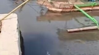 Viral Perairan Pulo Ampel Menghitam, Diduga Tercemar Limbah Oli