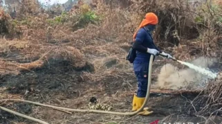 Waspada Puncak Kemarau 2026 Terjadi pada Agustus hingga September, Hotspot Bisa Makin Meningkat