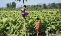 Bangkalan Perkuat Persiapan Pengusulan KEK Tembakau Madura untuk Dorong Investasi dan Kesejahteraan Petani