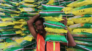 Bulog Salurkan 60 Ribu Ton Beras Premium ke Ritel Modern untuk Stabilkan Pasar