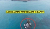 Daratan Baru Seluas 30,3 Hektare di Sekitar Anak Krakatau Terbentuk dari Material Erupsi Vulkanik