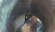 Evakuasi Sapi Terjatuh ke Sumur di Kalibendo Pasirian, Lumajang Berhasil Dilakukan