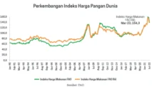 FAO Catat Kenaikan Indeks Harga Pangan Global Agustus 2026, Anak Krakatau Erupsi dan Cuaca Panas Berdampak Luas