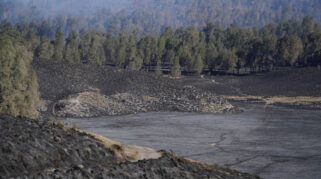Kebakaran di Kawasan Danau Ranu Kumbolo Rusak 590 Hektare Vegetasi TNBTS