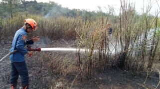 Kebakaran Lahan Kosong di Kalanganyar Lebak Diduga Akibat Pembakaran Sampah