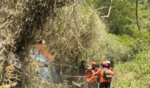 Kebakaran Meluas di Gunung Semeru, Jalur Pendakian Ditutup demi Keselamatan