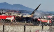 Kecelakaan Boeing 767 di Bandara Miami: 5 Tewas, Kotak Hitam Ditemukan