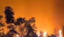 Kualitas Udara Palembang Terganggu Kabut Asap Akibat Kebakaran Lahan Talang Jambi