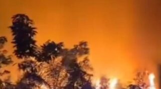 Kualitas Udara Palembang Terganggu Kabut Asap Akibat Kebakaran Lahan Talang Jambi