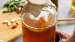Mengenal Kombucha dan 10 Manfaat Kesehatan yang Perlu Diketahui