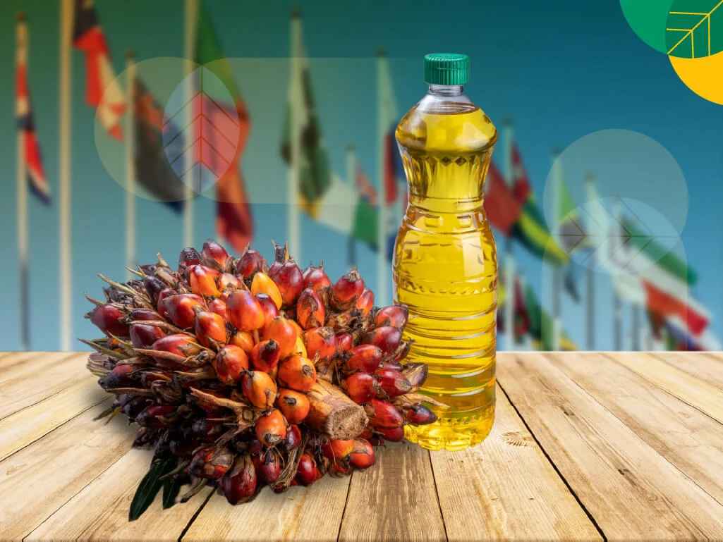 Minyak Sawit India
