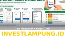 Panduan Lengkap Cara Cek dan Mengubah Desil Lewat HP Menggunakan NIK KTP