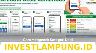 Panduan Lengkap Cara Cek dan Mengubah Desil Lewat HP Menggunakan NIK KTP