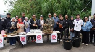 Pengembangan Purwaceng Dieng sebagai Produk Ekonomi dan Wisata Berbasis Indikasi Geografis