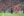 Java United Persija Siap Tampil Dengan Skuad Lengkap Lawan Java United di Liga ...