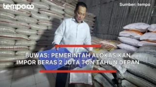 Polisi Gali 1,98 Ton Beras Bantuan; Pemerintah Perpanjang Distribusi dan Alokasikan Rp 17 T untuk 33,2 Juta Keluarga