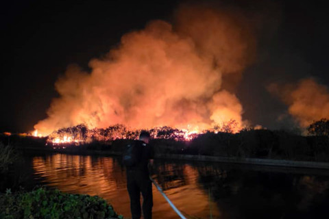 Polisi Selidiki Pemancing yang Diduga Membakar Lahan 10 Hektare di POJ City Semarang