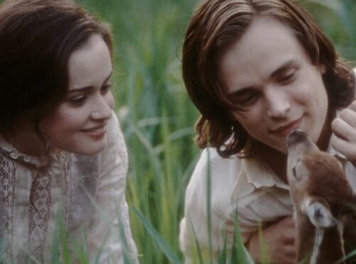 Rekomendasi 32 Film Cozy yang Cocok untuk Menemani Waktu Santai Anda