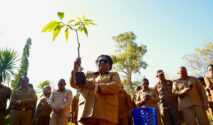 Wamendagri Ribka Haluk Dorong Penghijauan Serentak di NTT untuk Mendukung Gerakan Indonesia ASRI