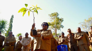 Wamendagri Ribka Haluk Dorong Penghijauan Serentak di NTT untuk Mendukung Gerakan Indonesia ASRI
