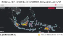 Wildfire Emissions Indonesia Capai Rekor Tertinggi, Memicu Krisis Asap Regional