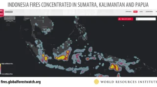 Wildfire Emissions Indonesia Capai Rekor Tertinggi, Memicu Krisis Asap Regional