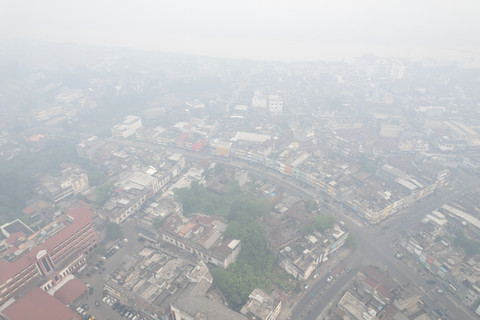 11.795 Warga Jambi Kena ISPA Imbas Asap Karhutla