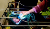 Bayi Laki-laki Terbungkus Plastik Merah Ditemukan di Pantai Panimbang