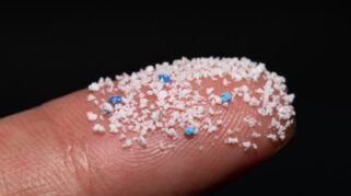 Dampak Paparan Mikroplastik pada Hormon dan Risiko Pubertas Dini pada Anak
