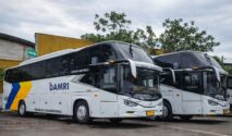 Damri Minta Maaf atas Gangguan Rute Bus Akibat Krisis BBM