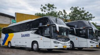 Damri Minta Maaf atas Gangguan Rute Bus Akibat Krisis BBM