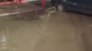 Distribusi Air Bersih Tirta Musi Palembang Terganggu akibat Pipa Bocor, Berikut Wilayah Terdampak
