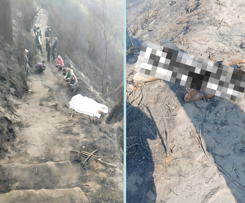 Empat Korban Tewas Akibat Kebakaran Hutan di Taman Nasional Bromo Tengger Semeru