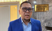 Jokowi Melunak Soal Prabowo-Gibran untuk Pilpres 2029