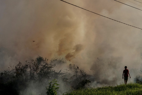 Jumlah Tersangka Karhutla di Riau Meningkat Menjadi 65 Orang
