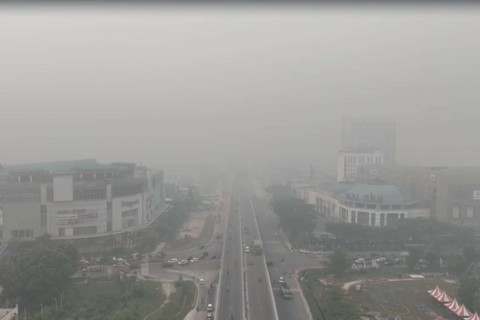 Kabut Asap Karhutla Selimuti Pekanbaru, Jarak Pandang Terbatas dan Mata Perih