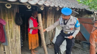 Kakek di Lumajang Kehilangan Dua Ekor Sapi Diduga Dicuri