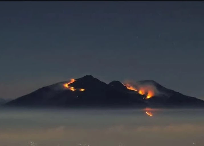 Kebakaran di Puncak Gunung Arjuno, Tim Gabungan Jatim Bergerak ke Lokasi