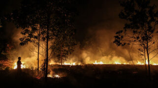 Kebakaran Hutan dan Lahan di Kulon Progo Meningkat Drastis pada 2026