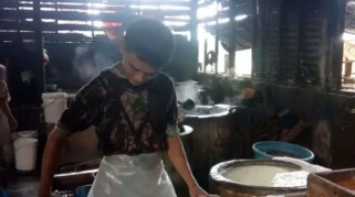 Kenaikan Harga Kedelai Impor di Bojonegoro: Dampak Terhadap Ukuran Tempe