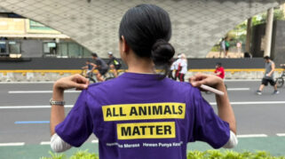 Komunitas Gelar Kampanye Perlindungan Hewan di CFD untuk Memperingati World Animal Day